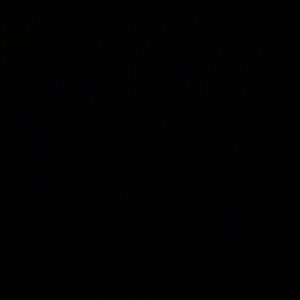 Meet your Posher, Bletina